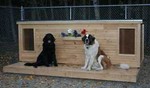 Maggie and Molly - Ontario, Canada